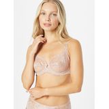 TRIUMPH - Wild Peony Florale - BH - Pink - 2 Pack