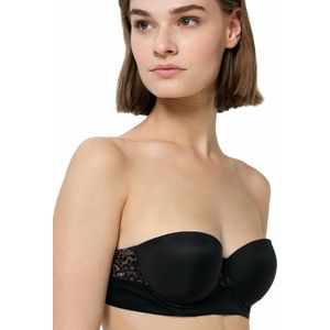 Triumph - Vivid Spotlight - BH