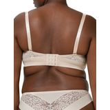 Triumph - Vivid Spotlight - BH