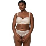 Triumph - Vivid Spotlight - BH