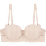 Triumph - Vivid Spotlight - BH