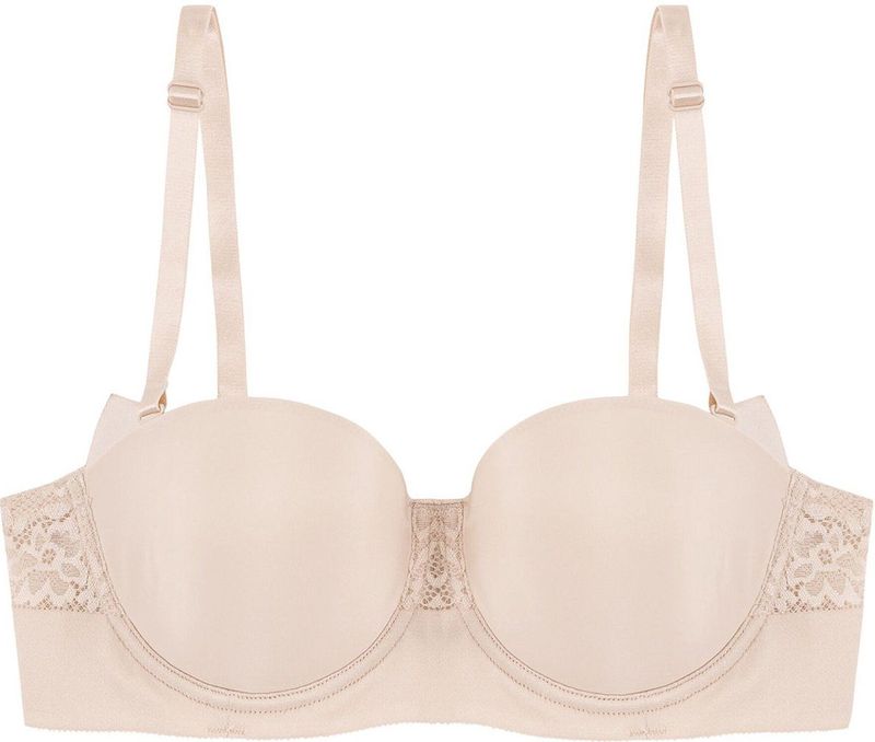 Triumph - Vivid Spotlight - BH