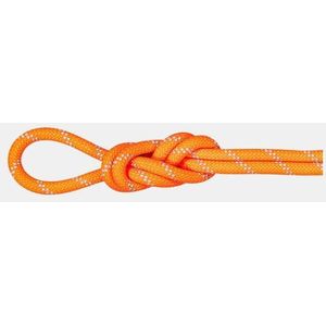 Mammut Touw Mam 9.5 Alpine Dry Rope 50 Meter