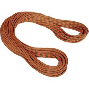 Mammut 95 Crag Dry Rope Enkeltouw (bruin)