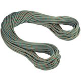 Mammut 99 Crag Workhorse Dry Rope Enkeltouw (wit)