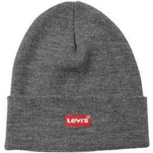 Levis  RED BATWING EMBROIDERED SLOUCHY BEANIE  mutsen  dames Grijs