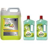 2x Andy Professional Allesreiniger Citroen Fris Pro Formula 5 liter