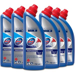 Glorix Pro Formula Voegenreiniger, 6  x 750ml