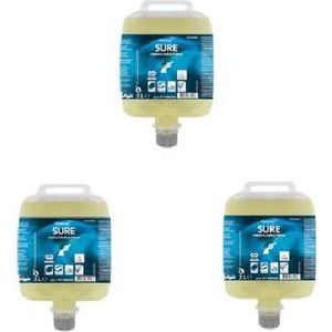 Allzweckreiniger SURE Interior&amp Surface DVM u Farbe/Parfüm Blumenmarke 2 ltr,3 dnk/krt