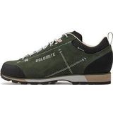 Dolomite 54 Hike Low Evo GTX Multisportschoenen (Heren |groen |waterdicht)