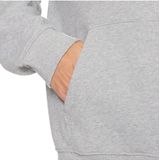 Guess - Gj Reg America Trad Hoodie - Zwart - Biologisch Katoenmix