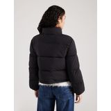 GUESS JEANS - Verkorte Donsjas - Zwart - Gewatteerd - Opstaande Kraag