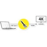 ROLINE - Display Adapter - USB Type C - HDMI - Zwart - 0,13 m