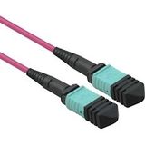VALUE MPO Trunk Kabel 50/125µm OM4, MPO/MPO, violet, 3 m - paars 21.99.1101