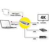 ROLINE GOLD Dockingstation - HDMI 4K - 2x USB 3.2 Gen 1 - Goud