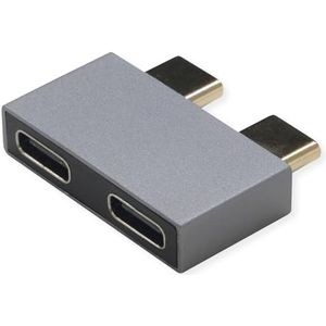 ROLINE Adaptateur USB 3.2 Gen 2, 2 x USB type C - 2 x Type C, ST/BU, argenté