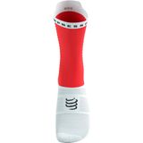 Compressport - Pro Racing V4.0 - Fietssokken - Rood Wit