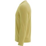 Compressport - Performance LS Tshirt - Geel - Heren