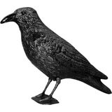 SWISSINNO Duivenverjager ""Raven"", verjager van vogels, diervriendelijk en decoratief. 1x