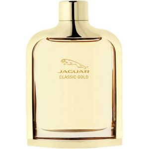 Karl Lagerfeld Classic Pour Homme Eau de Toilette 100 ml