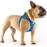 Curli Clasp Vest Harness Clasp Air-Mesh Blauw - Hondentuig - 33.9-38.2 cm