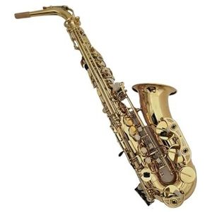 saxofoon kit Altsaxofoon E Plat Verguld Professioneel Muziekinstrument Met Koffer (Color : 62)