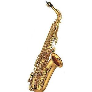 saxofoon kit Altsaxofoon Es Verguld Professioneel Muziekinstrument Met Kofferset Met Accessoires (Color : 82Z)