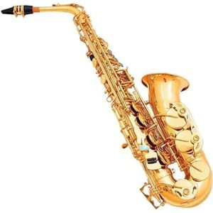 saxofoon kit Altsaxofoon 802 Es Muziekinstrument Goud Gelakt Professionele Speler Met Mondstuk
