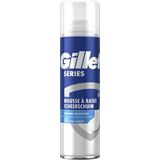 Gillette Series Verzorgende Scheerschuim 250ml