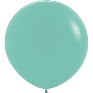 Ballonnen Aquamarina 61cm 10st