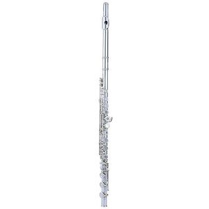 fluit instrument Dwarsfluit Blaasinstrument Wit Koper E Toonsoort C Toon Verzilverd 17 Opening Verzilverd Beginners flute instrument