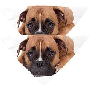 2 Pack Hond Bandana Mooie Boxer Hond Meisje Jongen Huisdier Slabbetjes Hond Sjaal Hoofddoek Wasbare Bandanas Accessoires Voor Kleine Medium Grote Honden Puppy Kat Huisdier