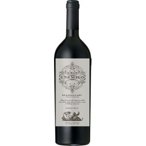 Gran Enemigo Gualtallary Single Vineyard 2020