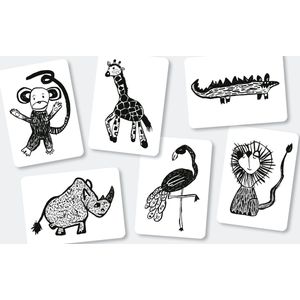 Mini Coco | Flash cards | Safari | NL
