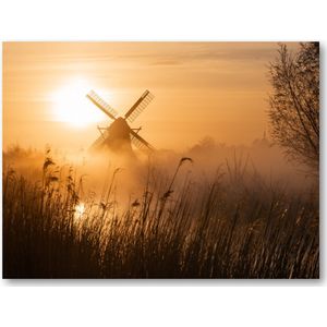 Noordermolen 2020 - Foto op Plexiglas 40x30