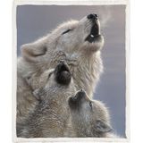 Deken - Grijs - Katoen