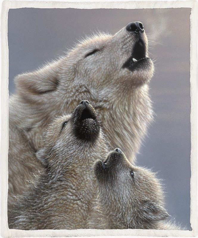 Deken - Grijs - Katoen