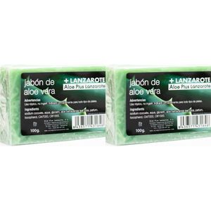 Soap4Health Handgemaakte Zeep Combi Pack - 2 stuks Aloe Vera - Douche en Handzeep - Antibacterieel