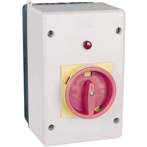 Professionele Behuizing - Zwart - PVC - IP55