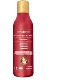 Surya Brasil Color Fixation Shampoo  250 Milliliter