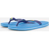Havaianas - Brasil Logo - Slipper - Turquoise - Rubber