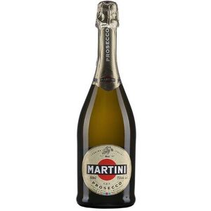 Martini Prosecco DOC fles 75cl