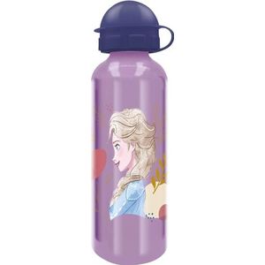 Disney drinkfles voor meisjes van aluminium Frozen Elsa en Anna 530 ml met drinksnavel en veiligheidssluiting