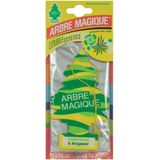 Arbre Magique - Wonderboom - Autoparfum - Groen/Geel