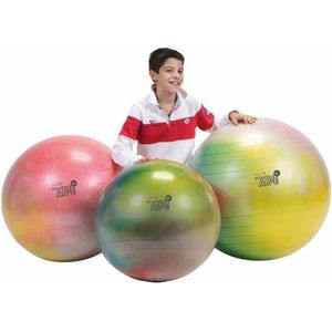 Gymnic Arte - Fitnessbal - Ø 65 cm - Multi