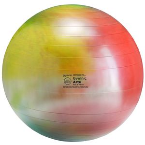 Gymnic Arte - Fitnessbal - Ø 75 cm - Multi