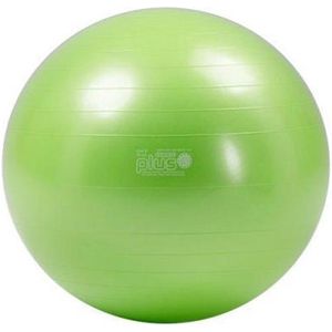 Gymnic Plus Bal - Fitnessbal - Ø 75 cm - Groen