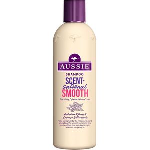 Aussie SH SCENTSTNL SMOOTH 300ML single item