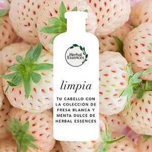 Herbal Essences Bio: renew witte aardbeien, milde munt, shampoo, in samenwerking met de Royal Jardin Botanique de Kew 6 x 250 ml