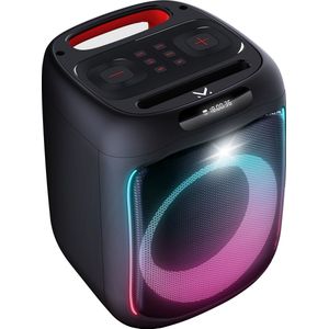 MAJESTIC FIRE 12 Bluetooth-luidsprekers, meerkleurige ledlampen, USB/MicroSD/AUX-IN/MIC, bekabelde microfoon inbegrepen, oplaadbare batterij, TWS, draaggreep